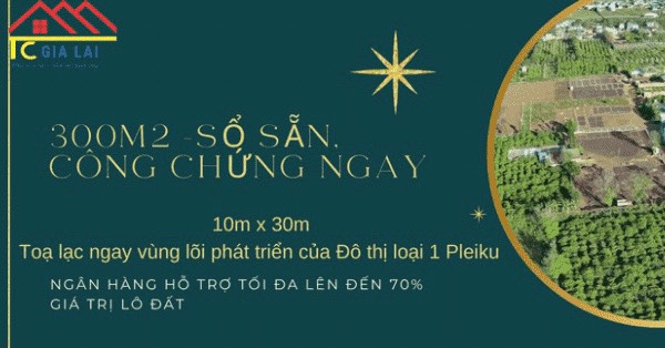 anh dai dien 10x30 Yen The Pleiku