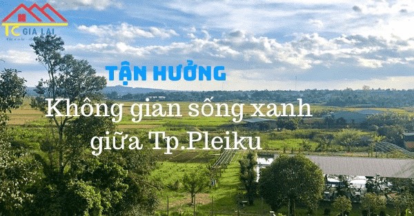 Anh dai dien 2.400m2 Bien Ho Pleiku